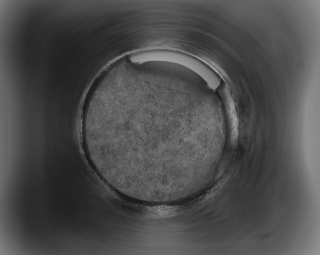 X0000087510992200705251615