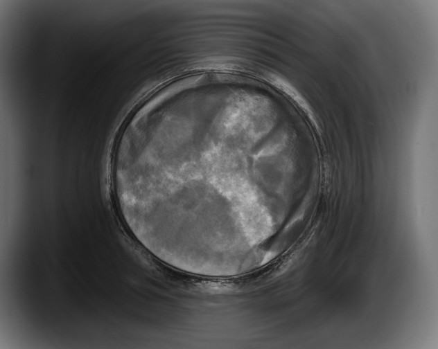 X0000087510994200705251615