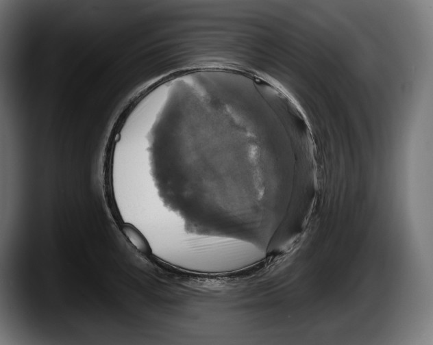 X0000087510995200705251615