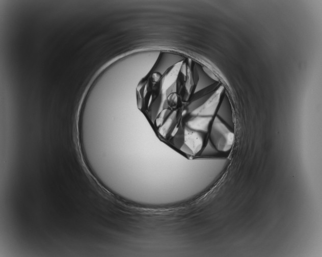 X0000087510996200705251615