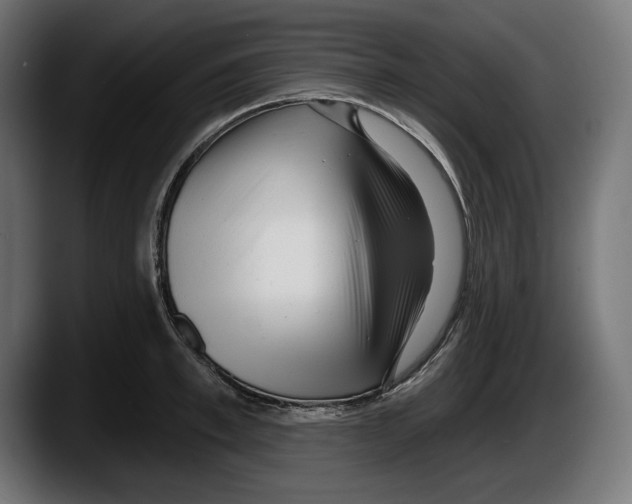 X0000087510997200705251615