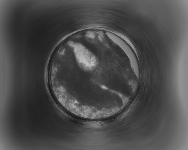 X0000087510999200705251615