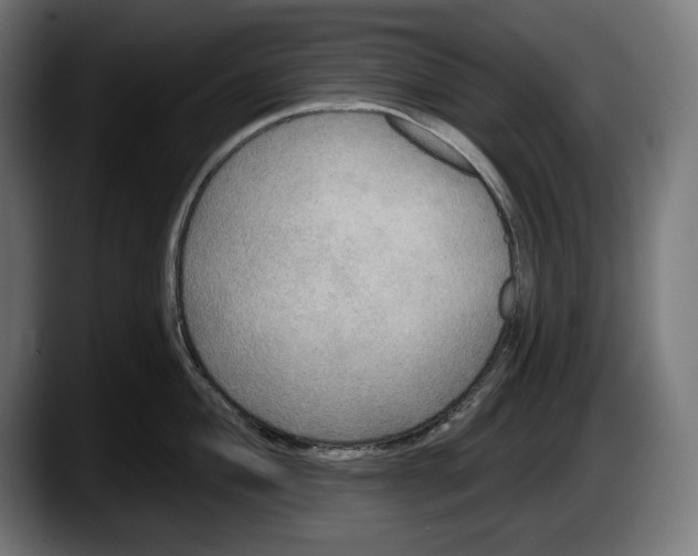 X0000087511004200705251615