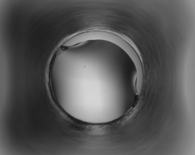 X0000087511005200705251615