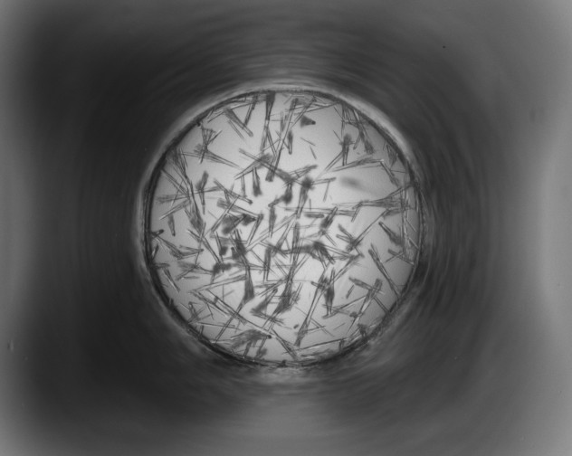 X0000087511006200705251615