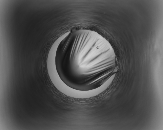 X0000087511010200705251614