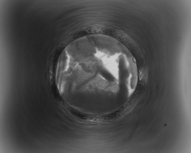 X0000087511011200705251614