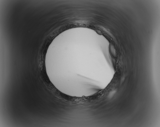 X0000087511015200705251614