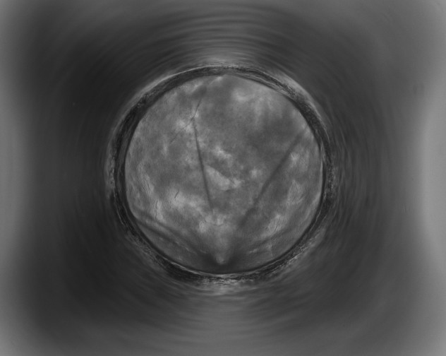 X0000087511019200705251614