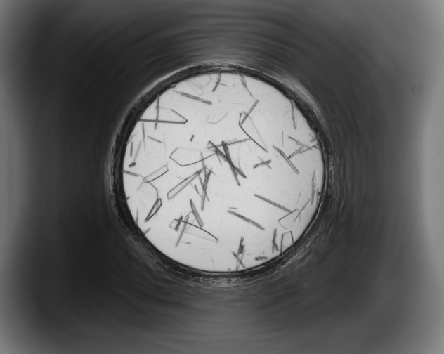 X0000087511020200705251614