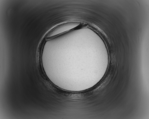 X0000087511021200705251614