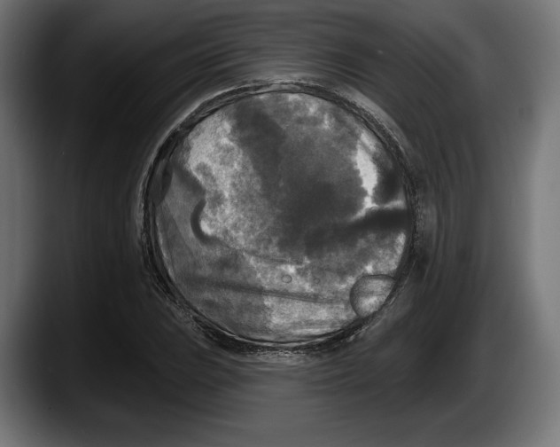 X0000087511023200705251614