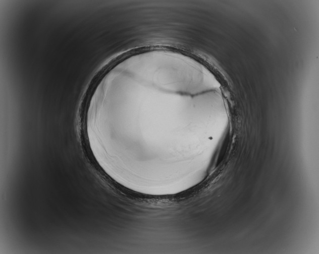 X0000087511024200705251614