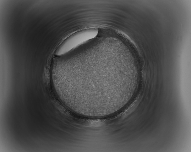 X0000087511025200705251614