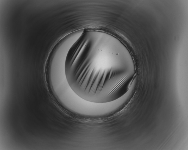 X0000087511026200705251614