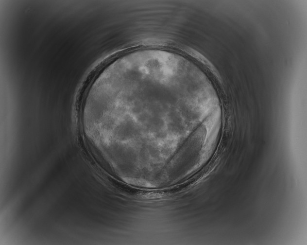 X0000087511027200705251614