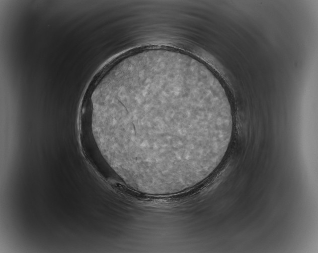 X0000087511028200705251614