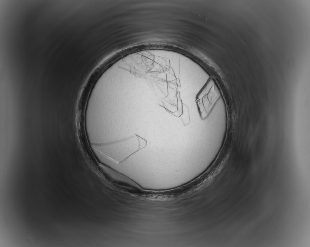 X0000087511029200705251614