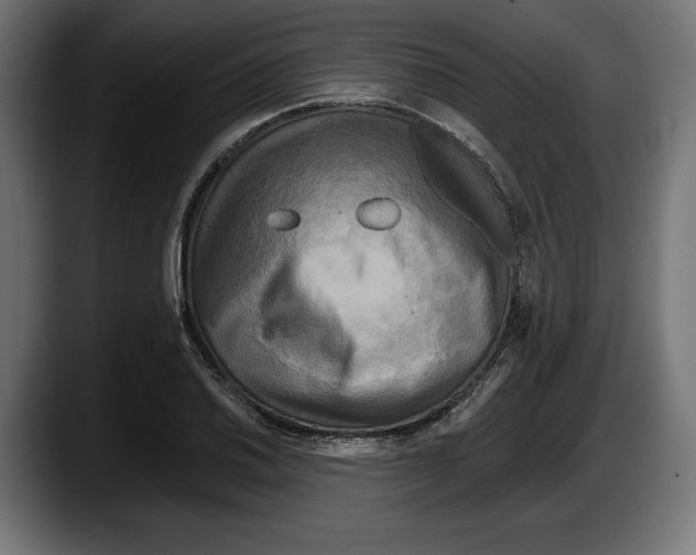 X0000087511030200705251614