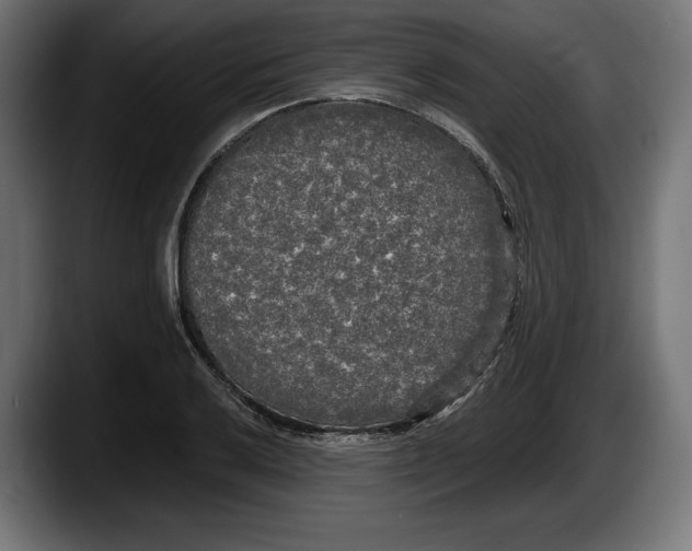 X0000087511032200705251615