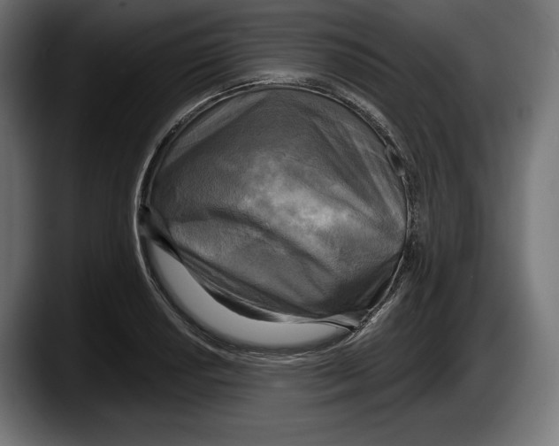 X0000087511034200705251615