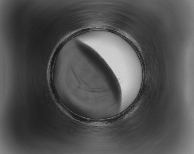 X0000087511037200705251615