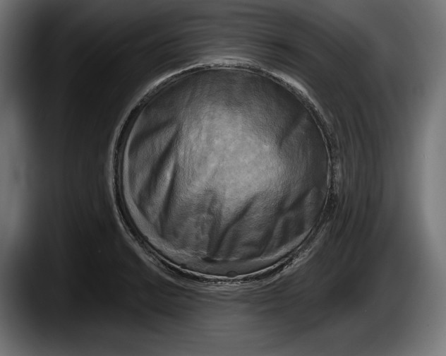 X0000087511038200705251615