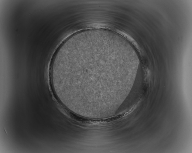 X0000087511039200705251615