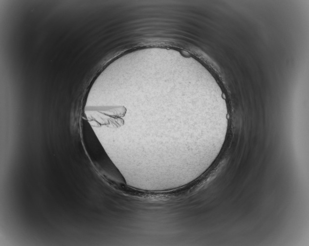 X0000087511041200705251615