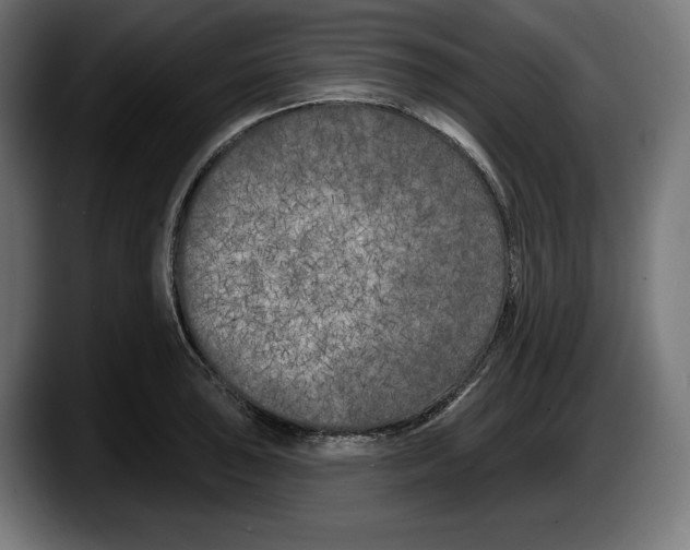 X0000087511043200705251615