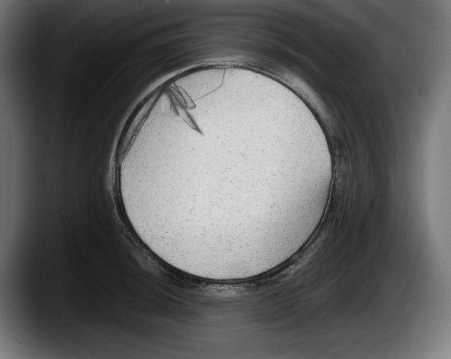 X0000087511044200705251615