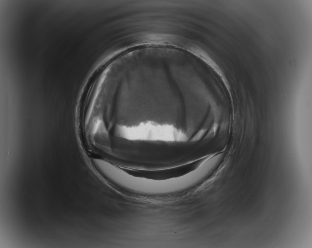 X0000087511045200705251615