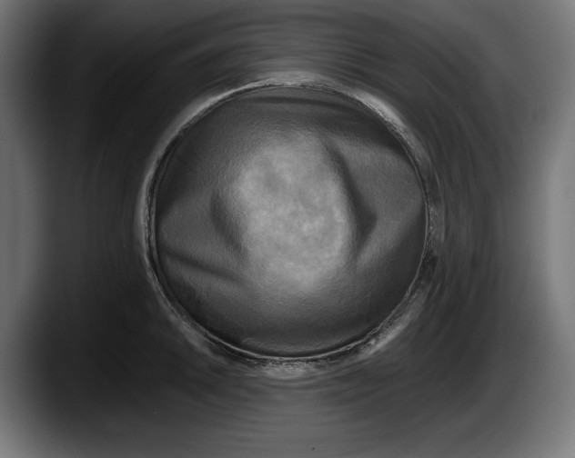 X0000087511046200705251615