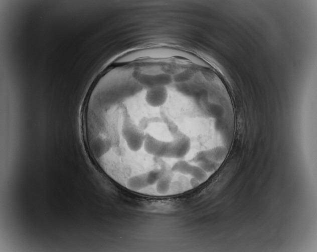 X0000087511047200705251615