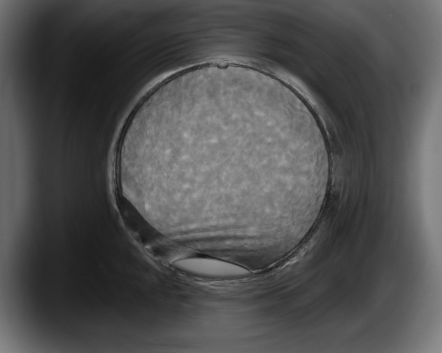 X0000087511048200705251615