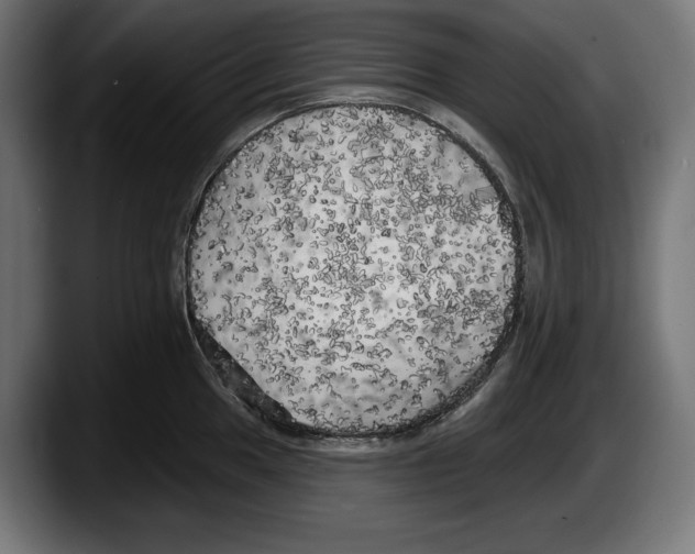 X0000087511049200705251615