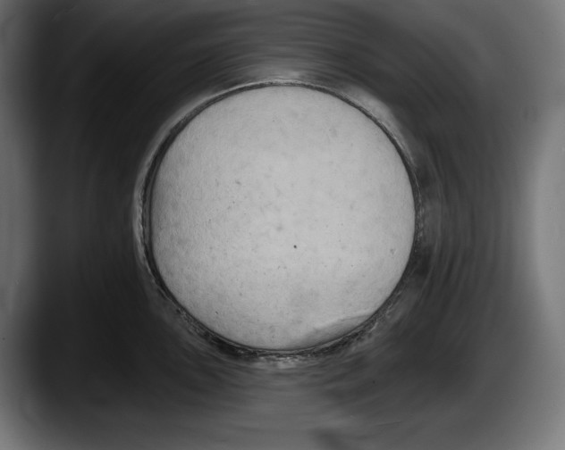 X0000087511051200705251615