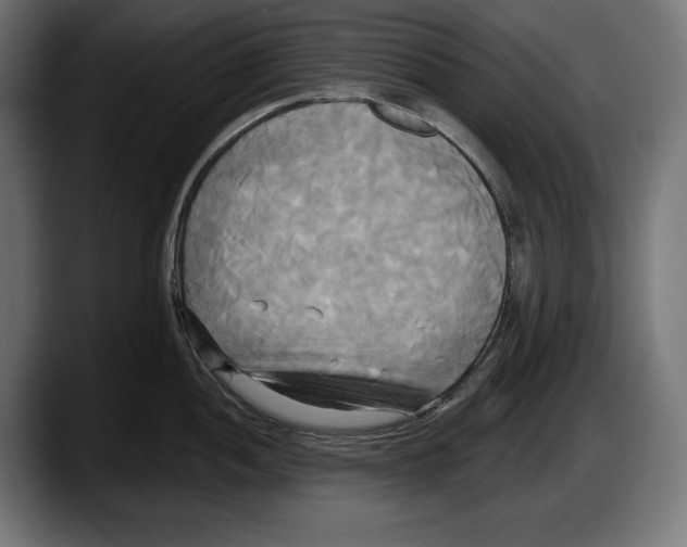 X0000087511052200705251615