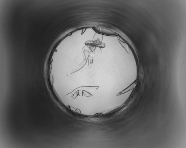 X0000087511053200705251615