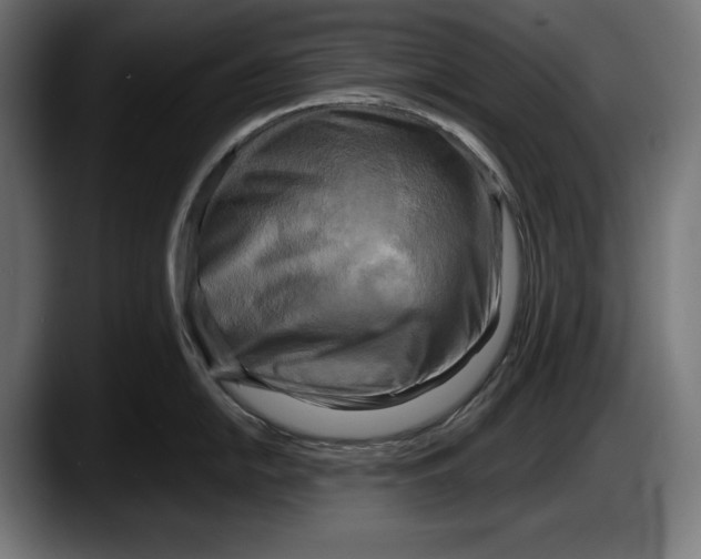 X0000087511054200705251615