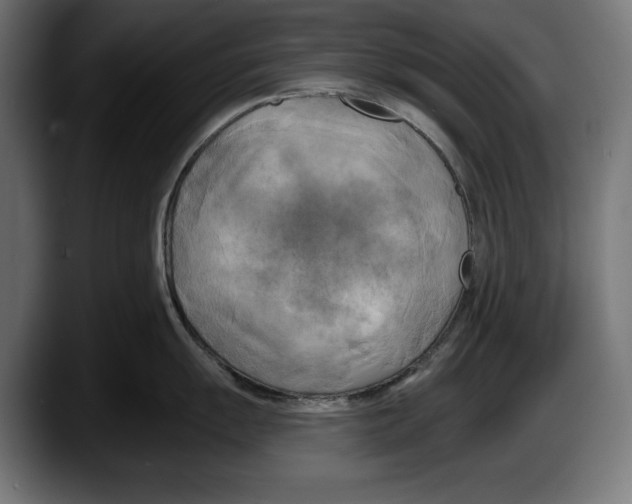 X0000087511055200705251615