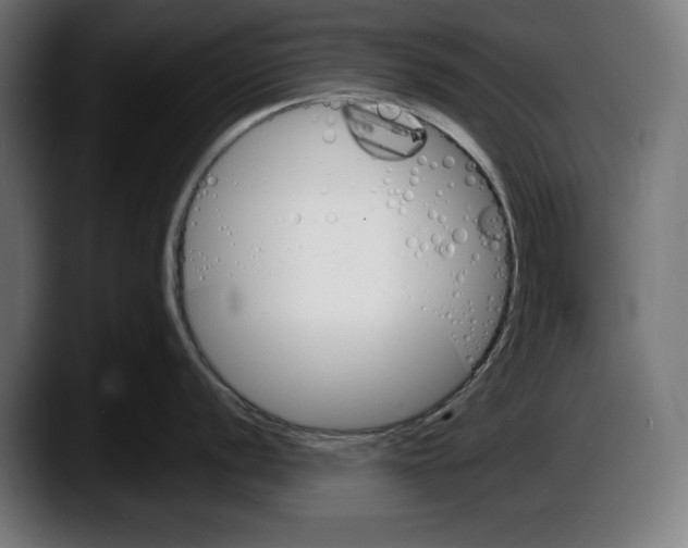 X0000087511056200705251615