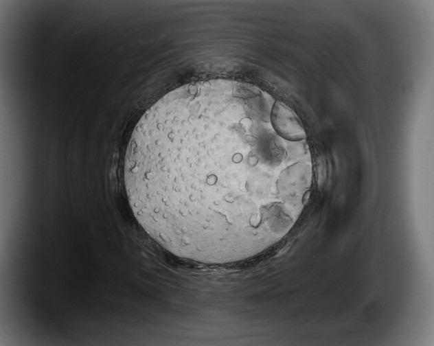 X0000087511059200705251614