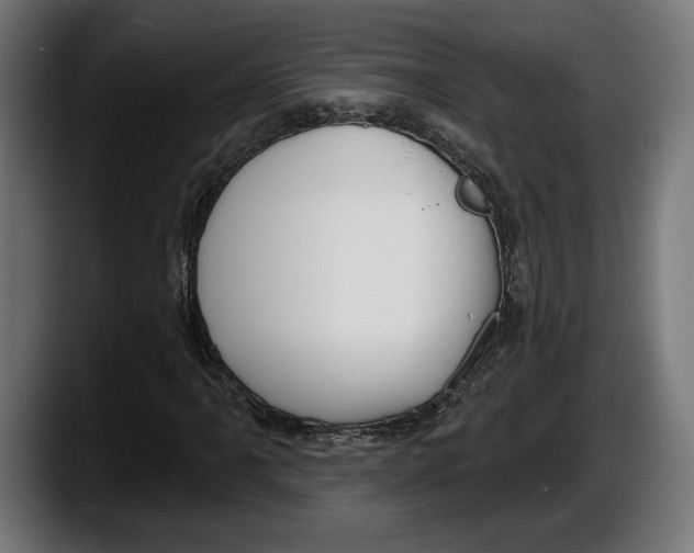 X0000087511061200705251614