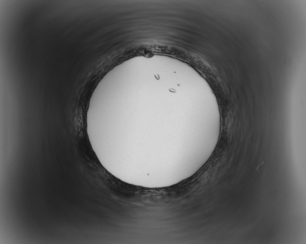 X0000087511062200705251614