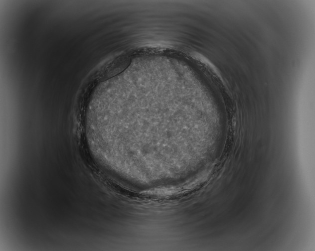 X0000087511064200705251614