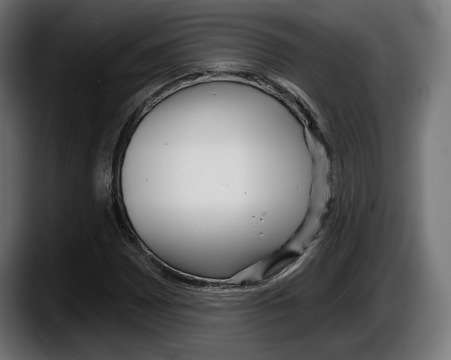 X0000087511065200705251614