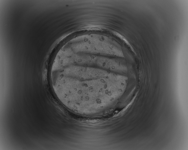 X0000087511066200705251614