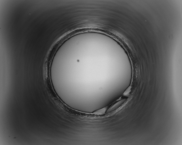 X0000087511069200705251614