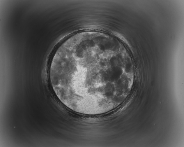 X0000087511071200705251614